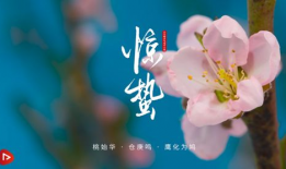 惊蛰短视频